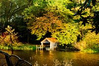 Boathouse in autumn