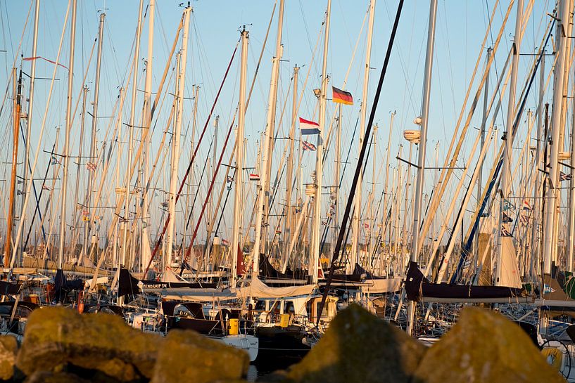 Boote im Hafen von Terschelling von Bart Lindenhovius