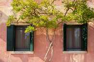 Torcello Laguna Veneta | Travel Photography Venice Italy by Tine Depré thumbnail