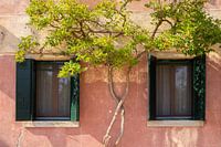 Torcello Laguna Veneta | Travel Photography Venice Italy
