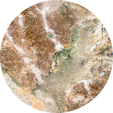 Natuurlijk abstract van Leendert Noordzij Photography