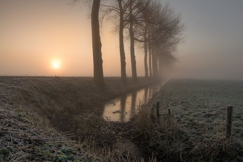 Sunrise with fog by Moetwil en van Dijk - Fotografie