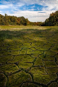 Übergang vom Sommer zum Herbst