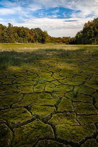 Transition de l'été à l'automne