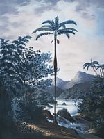 Blue Hour In Tropical Paradise