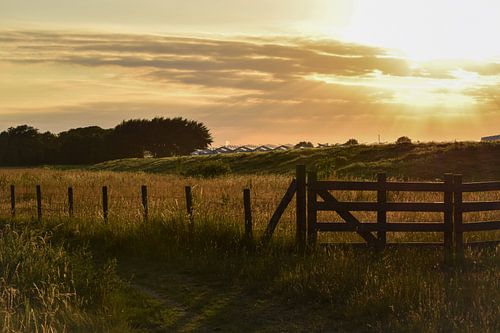 Het Westland