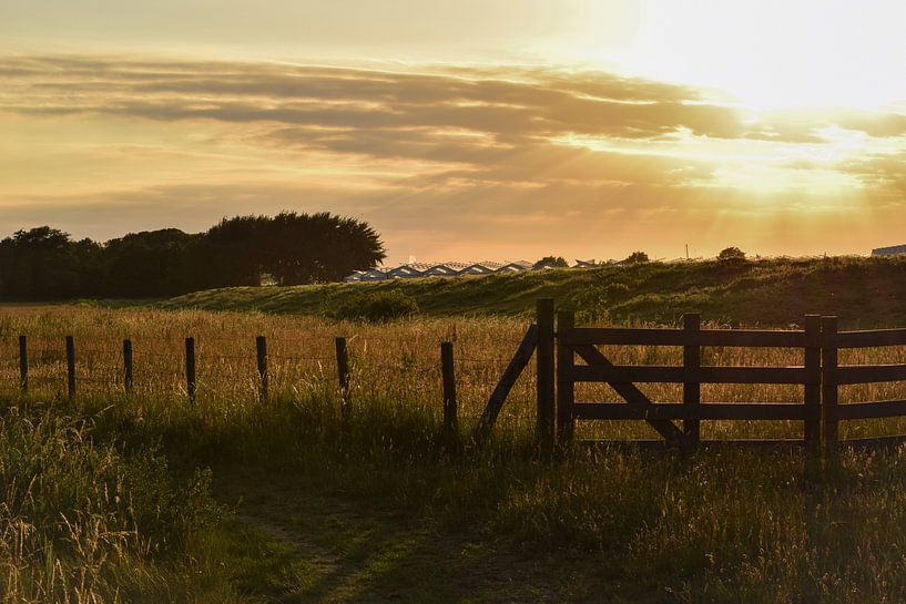 Het Westland by Joy de Bruin
