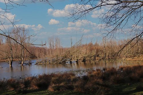 Broek[polder Vlaardingen