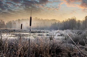 Prachtige zonsopgang aan de Laurabossen