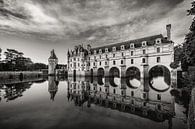 Kasteel van Chenonceau, Frankrijk.. van Patrick Löbler thumbnail