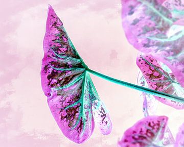 Meditatieve plantenbladschildering op roze van Mad Dog Art