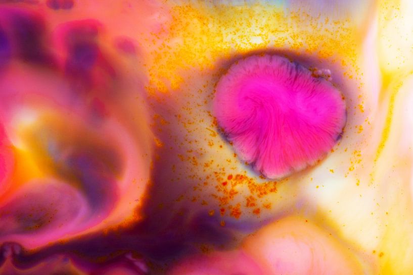 Milk and colour by Sandra Estupinan