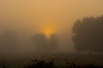 Opkomende zon door de mist