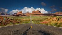 Road to Monument Valley van Edwin Mooijaart thumbnail