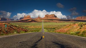 Road to Monument Valley van Edwin Mooijaart