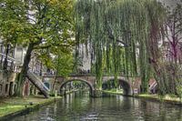 Grachten van Utrecht