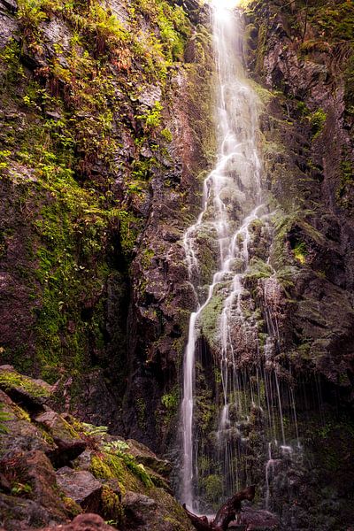 Zicht op de waterval van Burgbach van Severin Frank Fotografie
