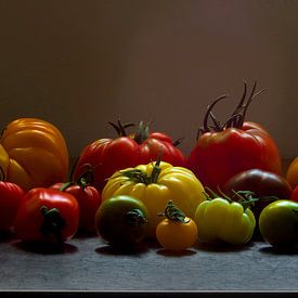 391 Tomates sur Hay Hermans