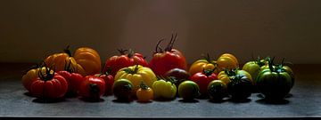 391 Tomatoes by Hay Hermans