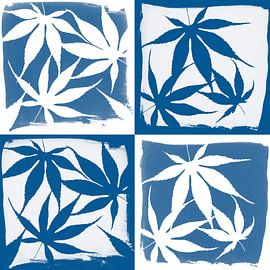 Blue leaves by M. van Oostrum