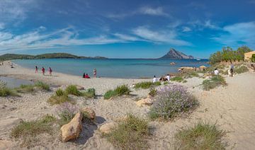 Het strand van Spiaggia Porto Taverna in het voorseizoen, Porto San Paolo, Sardinia, Italië van Rene van der Meer