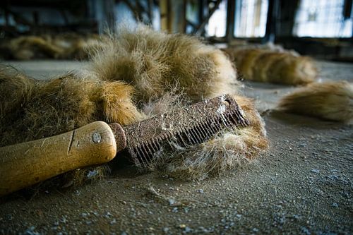 Forgotten Tools – The Rusty Comb of Time