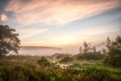 A misty summer morning in The Teut