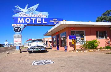 The blue Swallow Motel van Tineke Visscher