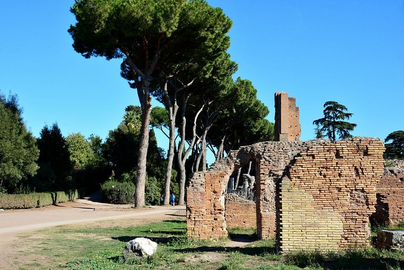 Palatine: Hill of the Roman Emperors by Frank Photos