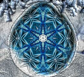 Snowflake caught in a drop by Nina IoKa