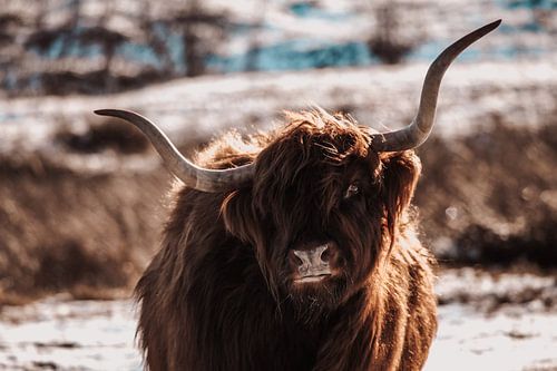 Großer freundlicher Riese