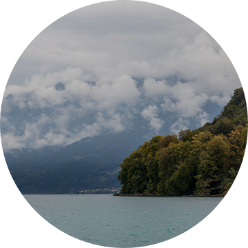 Uitzicht van Spiez (Zwitserland), met bergen, bos, en helder blauw water. van Angelo de Bruin