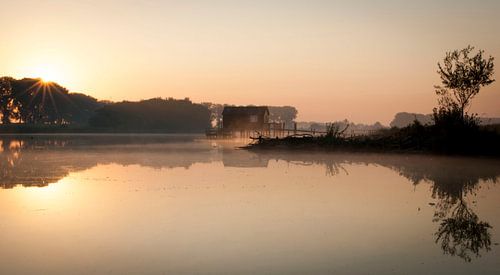 Sprookjesachtige zonsopkomst met mist