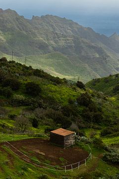 Paysage montagneux à Tenerife
