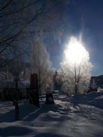 Winter