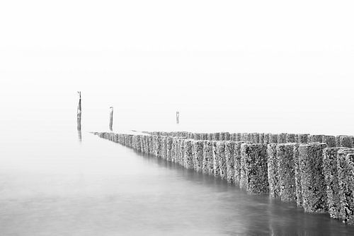 meerpalen op het strand van nilix fotografie