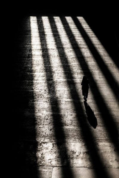 Licht und Schatten von Bob Janssen