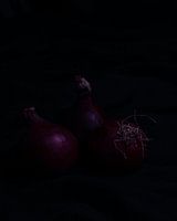 Rote Zwiebeln