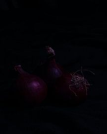 Rote Zwiebeln von Krista Jacobs