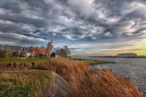 Kop van t Land Biesbosch Dordrecht (Kop van t Land Biesbosch Dordrecht)