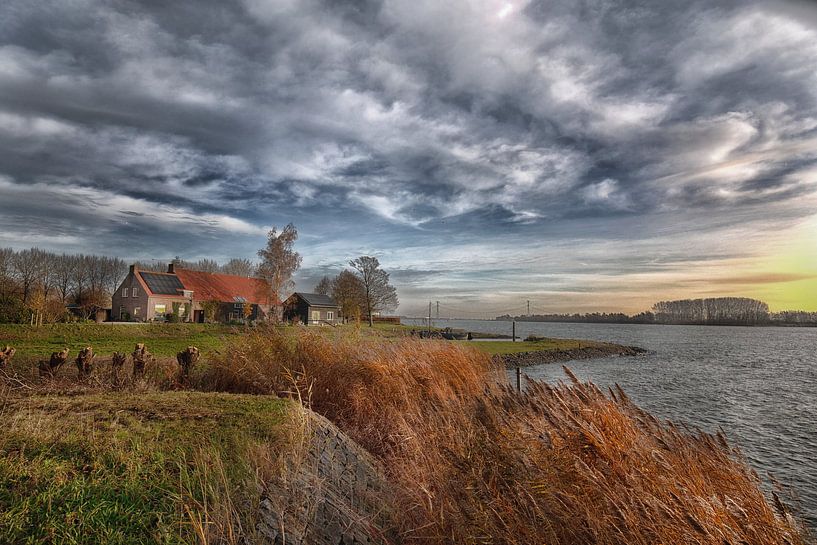 Kop van t Land Biesbosch Dordrecht by Angelique Niehorster
