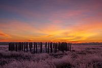 Winter sunrise in the Regte Heide in Brabant