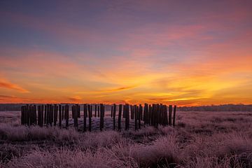 Winterlicher Sonnenaufgang in der Regte Heide in Brabant von Johannes Nouwens