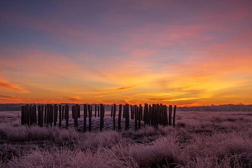 Winter sunrise in the Regte Heide in Brabant