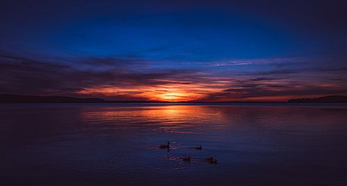 Zonsondergang in Polen met een familie eenden op de voorgrond