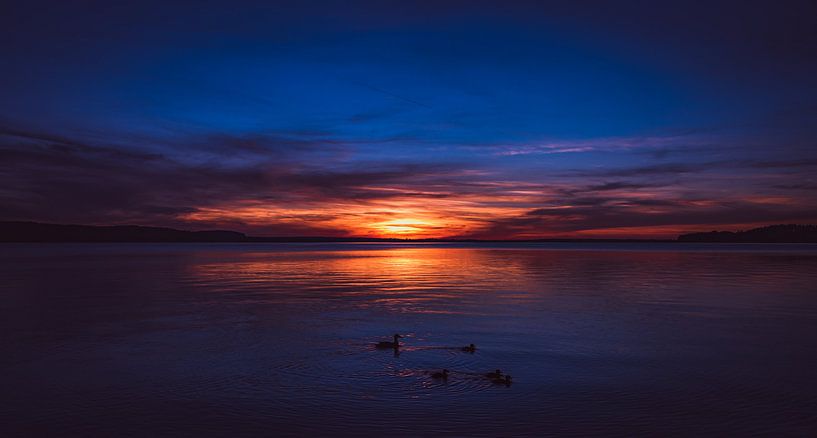 Sonnenuntergang am Wasser mit einer Familie Enten im Vordergrund von Jakob Baranowski - Photography - Video - Photoshop
