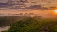 Primeval-Dutch landscape in fog by Karen de Geus thumbnail
