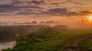 Paysage hollandais primitif dans le brouillard