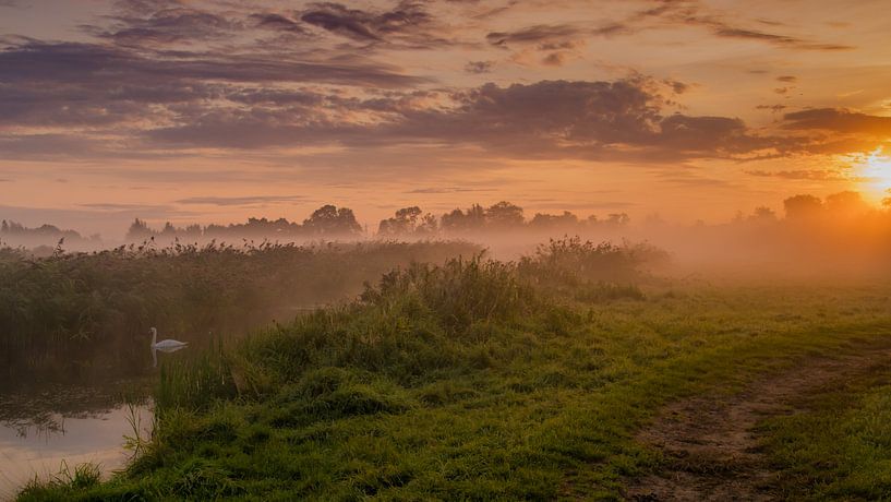 Primeval-Dutch landscape in fog by Karen de Geus