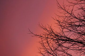 Coucher de soleil sur Aero Dynamica